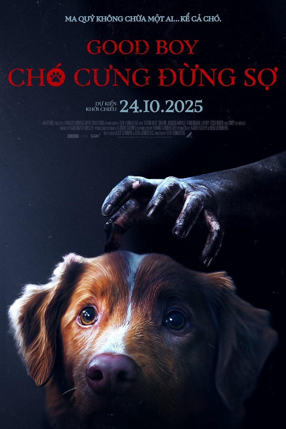 Xem phim Chó Cưng Đừng Sợ